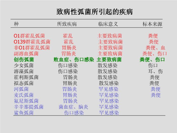 【醫學PPT課件】弧菌屬、氣單胞菌屬和鄰單胞菌屬第5頁