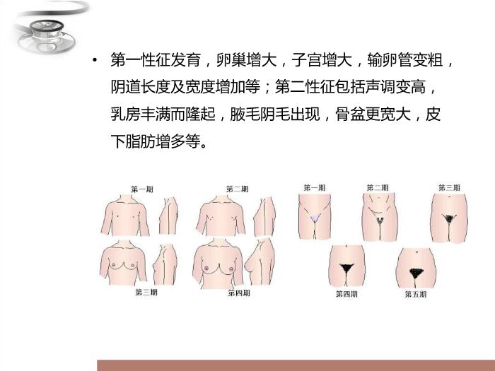 【醫學PPT課件】青春期常見問題 八年制兒科學PPT課件第8頁