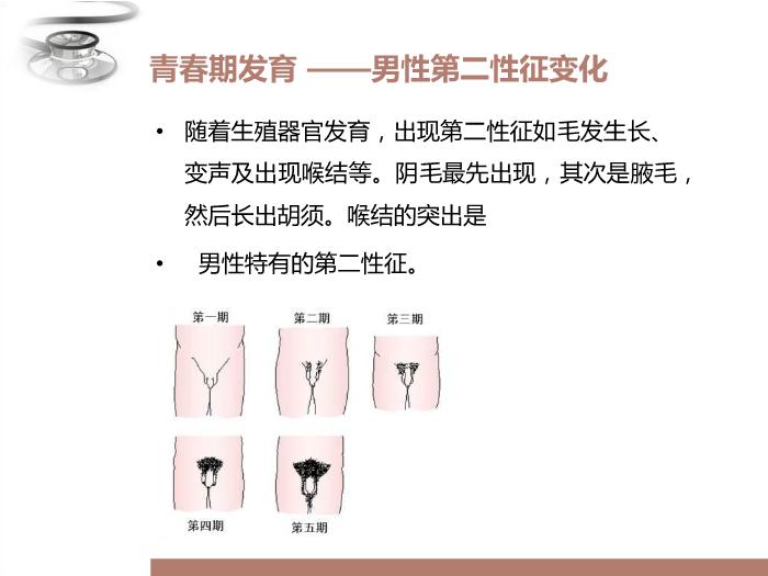 【醫學PPT課件】青春期常見問題 八年制兒科學PPT課件第9頁