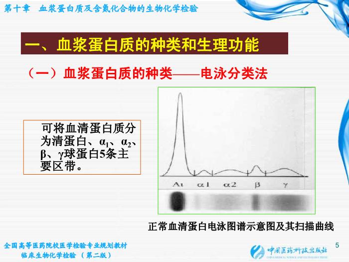 【醫學PPT課件】第10章  血漿蛋白質及含氮化合物的生物化學檢驗第5頁