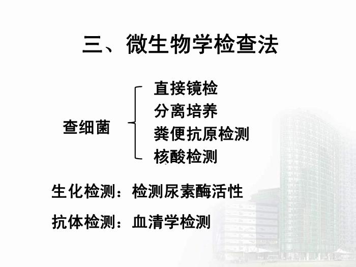 【醫學PPT課件】螺桿菌屬 醫學微生物學教學課件第14頁