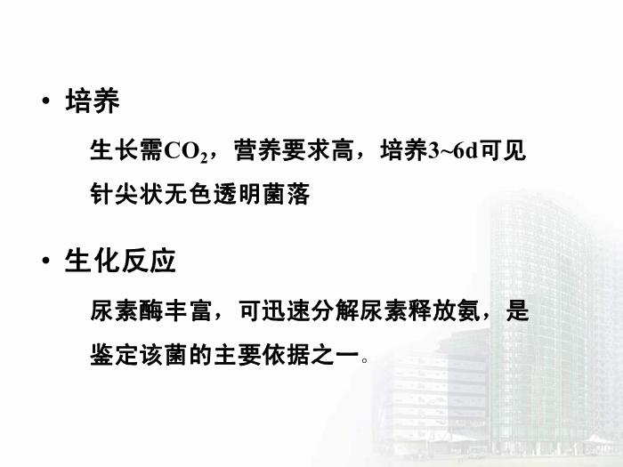【醫學PPT課件】螺桿菌屬 醫學微生物學教學課件第5頁
