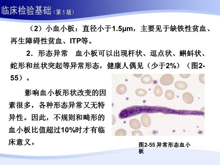 【醫學PPT課件】第二章 血液一般檢驗 06 血小板部分第10頁