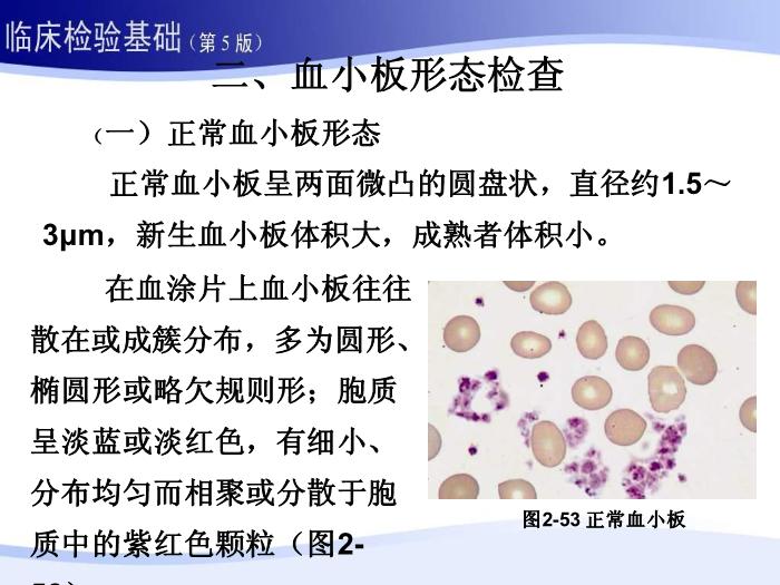 【醫學PPT課件】第二章 血液一般檢驗 06 血小板部分第8頁