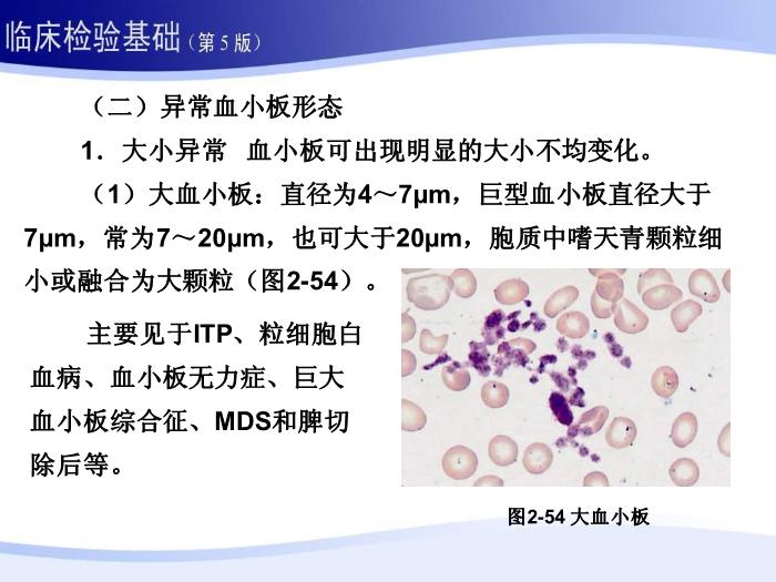 【醫學PPT課件】第二章 血液一般檢驗 06 血小板部分第9頁