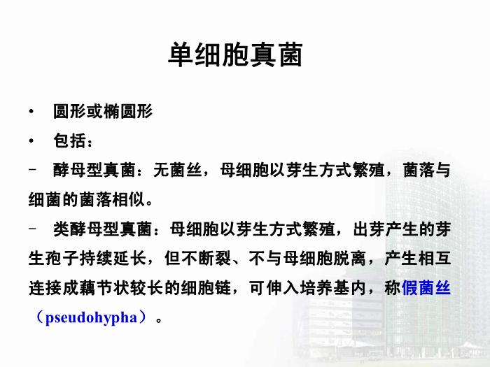 【醫學PPT課件】第35章 真菌學總論 醫學微生物學教學課件第10頁