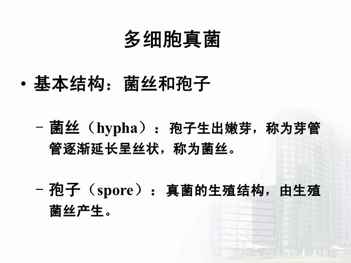 【醫學PPT課件】第35章 真菌學總論 醫學微生物學教學課件第11頁