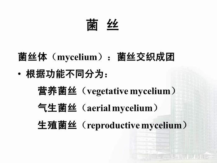 【醫學PPT課件】第35章 真菌學總論 醫學微生物學教學課件第12頁