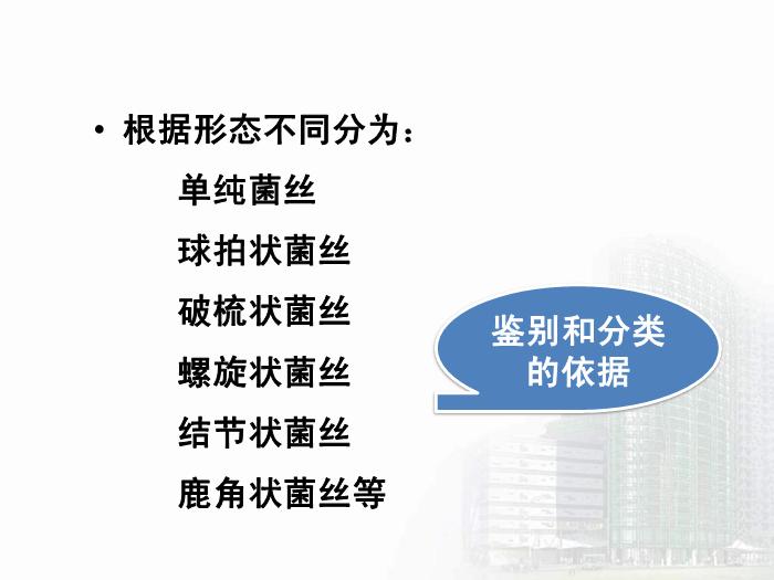 【醫學PPT課件】第35章 真菌學總論 醫學微生物學教學課件第14頁