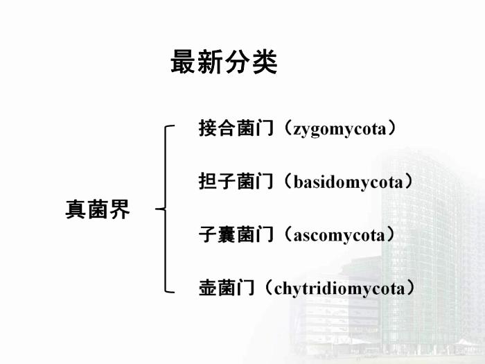 【醫學PPT課件】第35章 真菌學總論 醫學微生物學教學課件第7頁