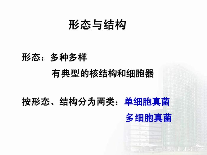 【醫學PPT課件】第35章 真菌學總論 醫學微生物學教學課件第9頁