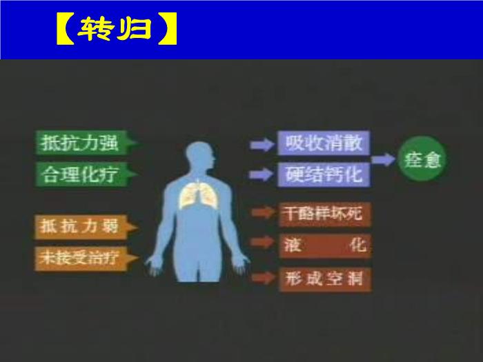 【醫學PPT課件】肺結核 pulmonary tuberculosis(TB)河南醫科大學一附院呼吸內科 王靜第10頁