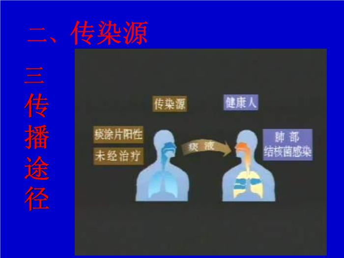 【醫學PPT課件】肺結核 pulmonary tuberculosis(TB)河南醫科大學一附院呼吸內科 王靜第5頁