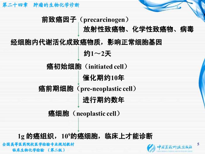 【醫學PPT課件】第10章 腫瘤的生化診斷 基礎醫學與醫學技術學院  姜旭淦第5頁