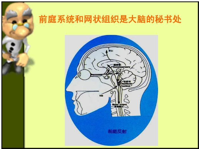 【醫學PPT課件】杜曼體能訓練-平衡訓練-王宇老師第4頁
