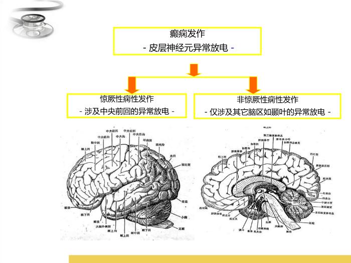 【醫學PPT課件】驚厥 八年制兒科學PPT課件第6頁