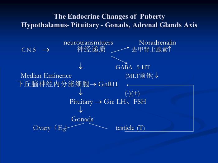 【醫學PPT課件】青春期醫學概論  復旦大學附屬兒科醫院  汪永紅第6頁