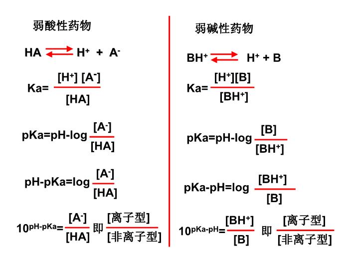 【醫學PPT課件】第3章 藥物代謝動力學第7頁