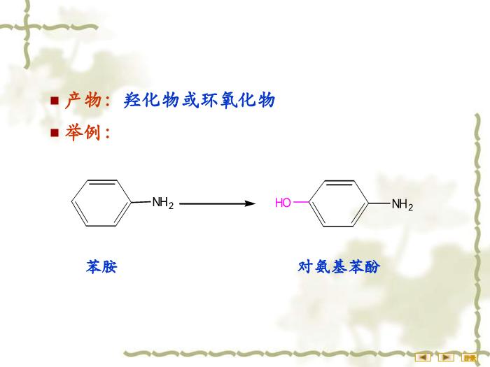 【醫學PPT課件】非營養物質代謝 生物化學與分子生物學第12頁