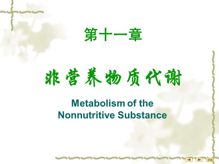 【醫學PPT課件】非營養物質代謝 生物化學與分子生物學第2頁