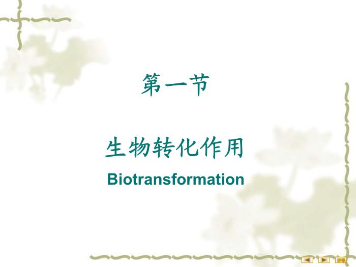 【醫學PPT課件】非營養物質代謝 生物化學與分子生物學第3頁