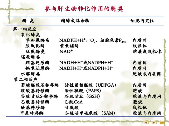 【醫學PPT課件】非營養物質代謝 生物化學與分子生物學第8頁