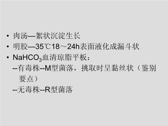 【醫學PPT課件】第13章 其他需氧革蘭陽性桿菌 蚌埠醫學院  第14頁