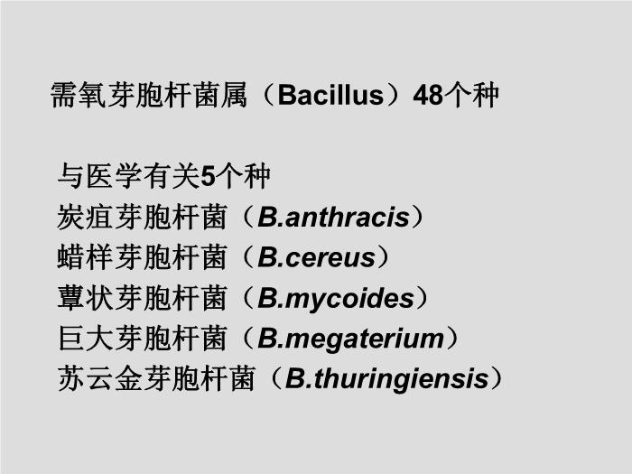【醫學PPT課件】第13章 其他需氧革蘭陽性桿菌 蚌埠醫學院  第2頁