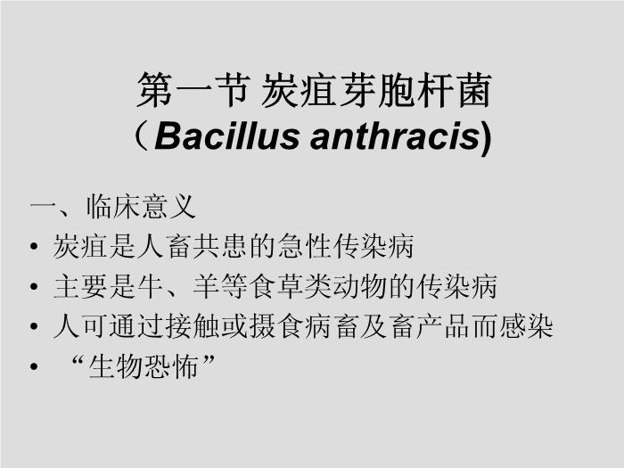 【醫學PPT課件】第13章 其他需氧革蘭陽性桿菌 蚌埠醫學院  第3頁