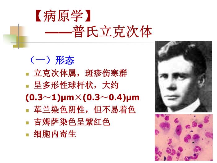 【醫學PPT課件】流行性與地方性斑疹傷寒 西安交通大學傳染病學教學課件第5頁