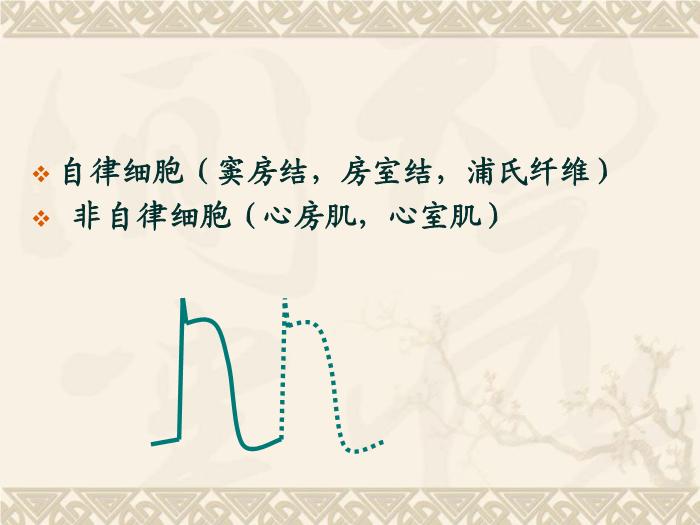 【醫學PPT課件】抗心律失常藥-藥理學教研室第12頁