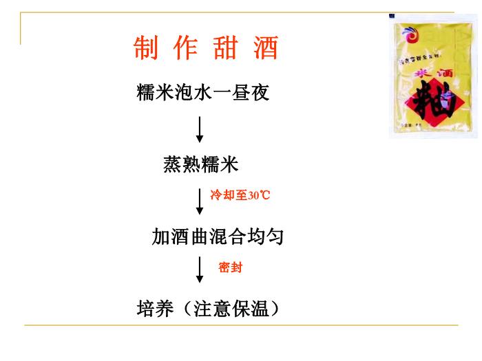 【醫學PPT課件】人類對細菌真菌的利用-廈門五中 紀小蘋-PPT課件第11頁