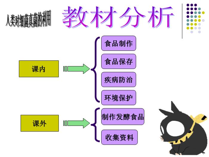 【醫學PPT課件】人類對細菌真菌的利用-廈門五中 紀小蘋-PPT課件第2頁