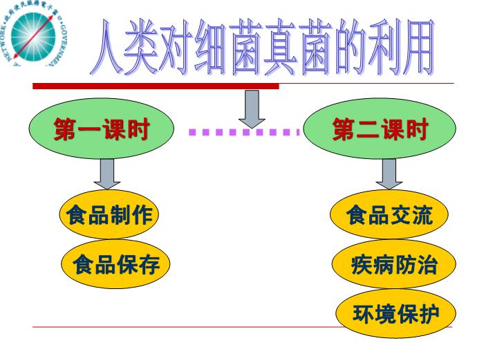 【醫學PPT課件】人類對細菌真菌的利用-廈門五中 紀小蘋-PPT課件第7頁