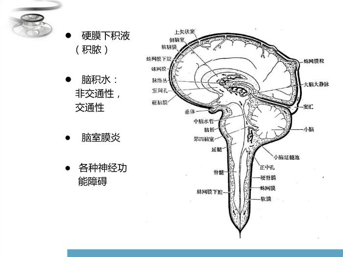 【醫學PPT課件】化膿性腦膜炎 八年制兒科學PPT課件第12頁