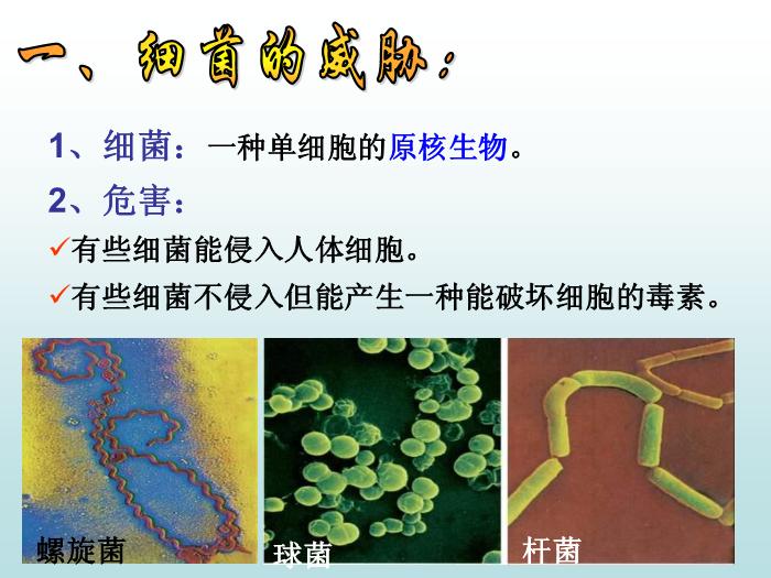 【醫學PPT課件】對于傳染病你需要知道些什么？-PPT課件第5頁