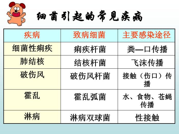 【醫學PPT課件】對于傳染病你需要知道些什么？-PPT課件第8頁