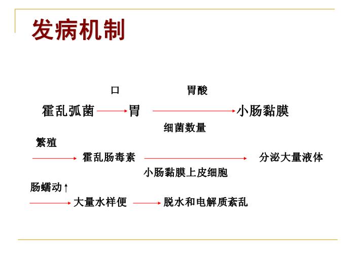 【醫學PPT課件】霍亂 浙江大學傳染病學教學課件第13頁