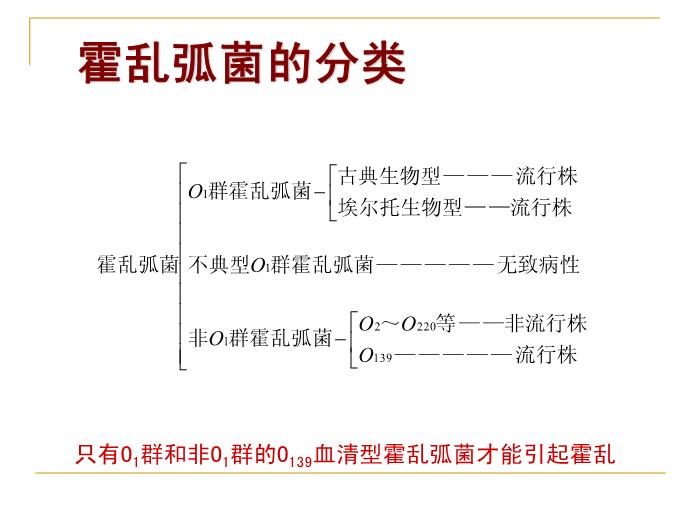 【醫學PPT課件】霍亂 浙江大學傳染病學教學課件第9頁