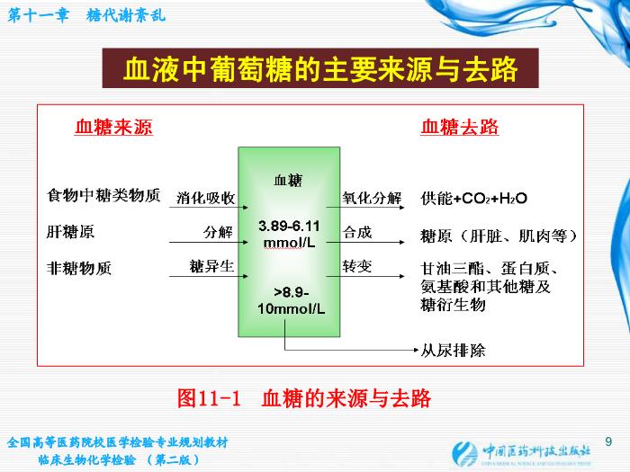 【醫學PPT課件】第11章  糖代謝紊亂 桂林醫學院醫學檢驗系第9頁