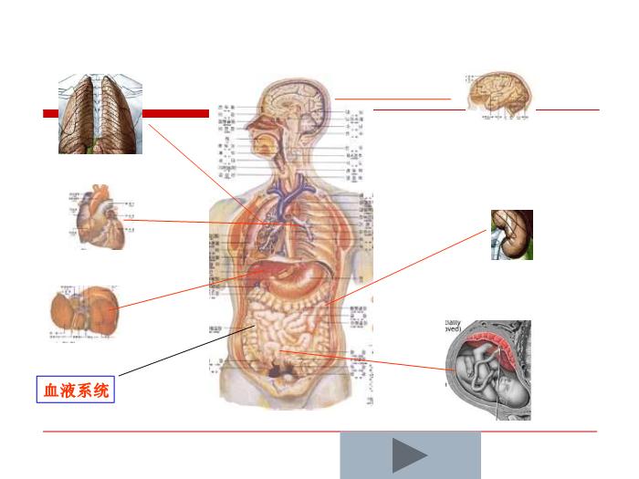 【醫學PPT課件】妊娠高血壓疾病 復旦大學附屬婦產科醫院第14頁
