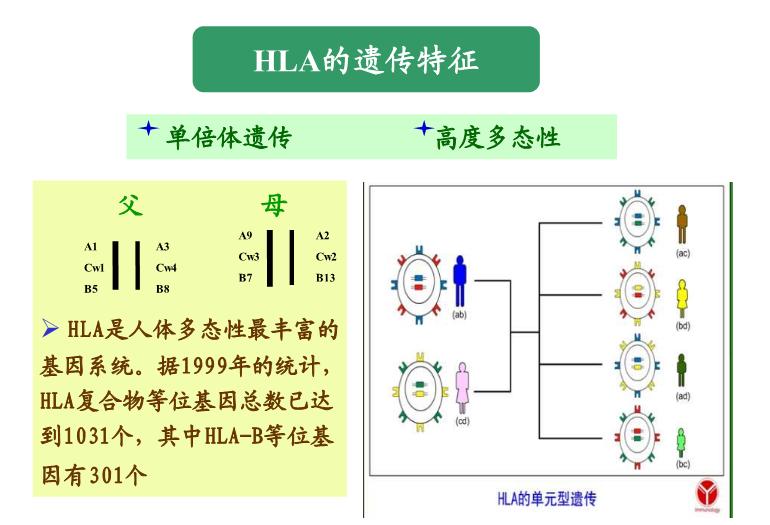 【醫學PPT課件】第28章_移植免疫及其免疫檢測第10頁