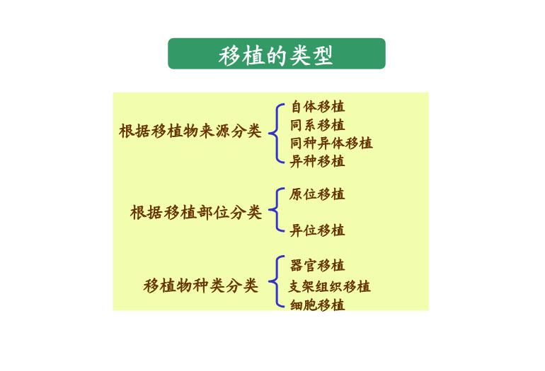 【醫學PPT課件】第28章_移植免疫及其免疫檢測第6頁