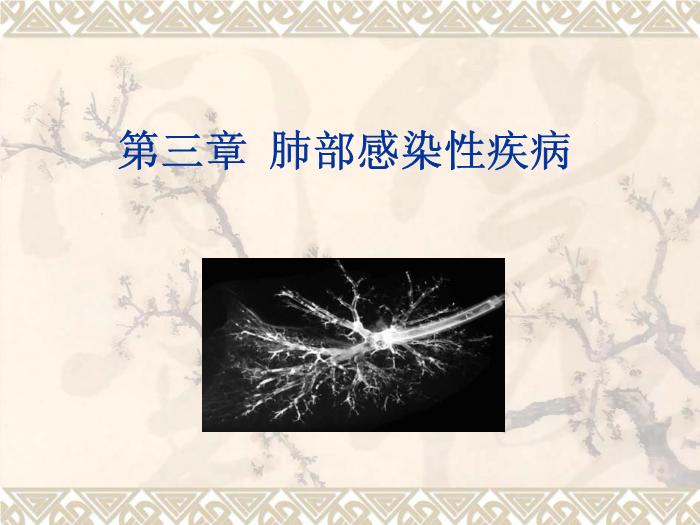 【醫學PPT課件】肺部感染性疾病第1頁