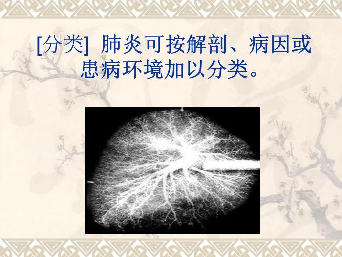 【醫學PPT課件】肺部感染性疾病第5頁