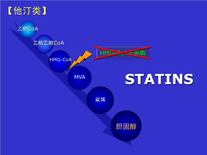 【醫學PPT課件】抗動脈粥樣硬化藥物分類及研究進展第10頁
