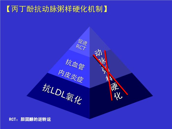 【醫學PPT課件】抗動脈粥樣硬化藥物分類及研究進展第14頁