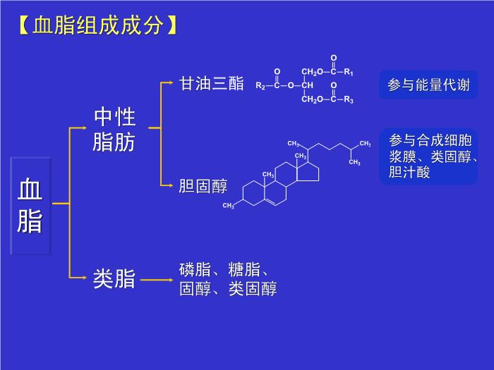 【醫學PPT課件】抗動脈粥樣硬化藥物分類及研究進展第4頁