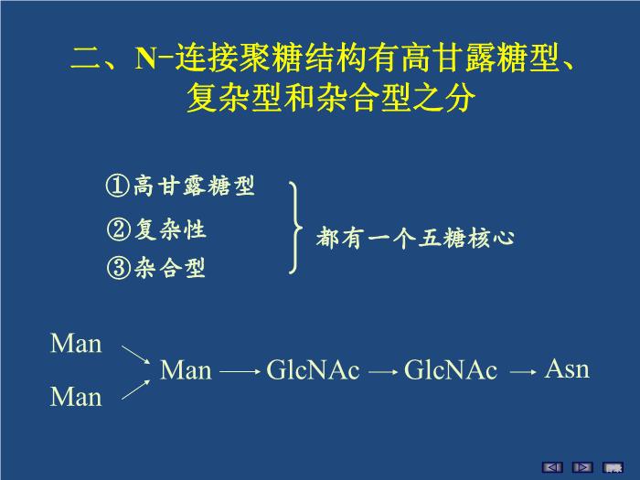 【醫學PPT課件】聚糖的結構與功能 生物化學與分子生物學第11頁