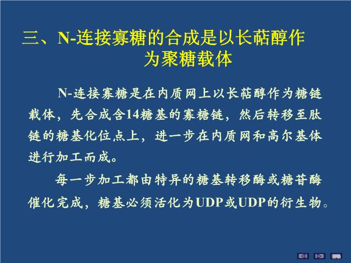 【醫學PPT課件】聚糖的結構與功能 生物化學與分子生物學第13頁